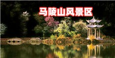 真人美女被操视频网站