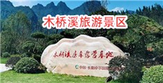 大鸡巴肏逼