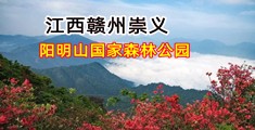 毛操B视频